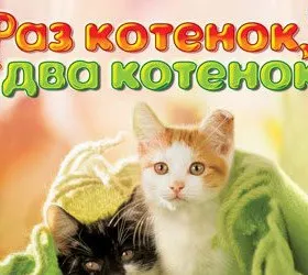 I Love Cats. 22 Cat Games