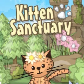 Kitten Sanctuary