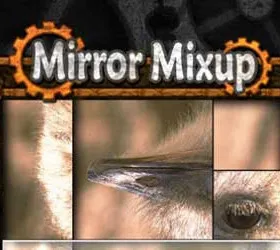 Mirror Mixup