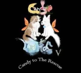 Candy World 5: Candy To The Rescue