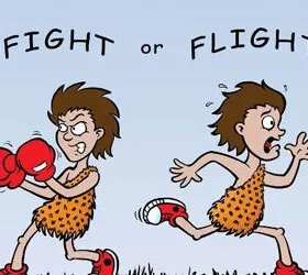 Flight for Fight