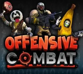 Offensive Combat