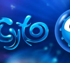Cyto