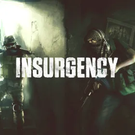 Insurgency