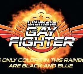 Ultimate Gay Fighter