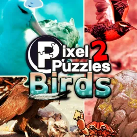 Pixel Puzzles 2: Birds