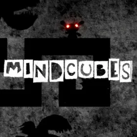 MIND CUBES - Inside the Twisted Gravity Puzzle