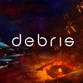 Debris