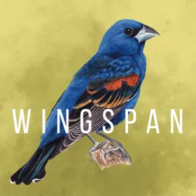 Wingspan - European