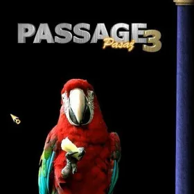 Passage 3