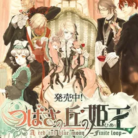 Tsubasa no Oka no Hime: A red and blue moon -finite loop-