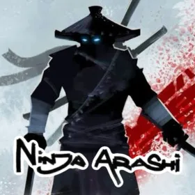 Ninja Arashi