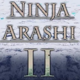 Ninja Arashi 2