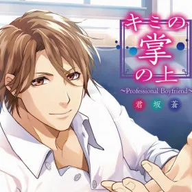 Professional Boyfriend