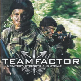 Team Factor