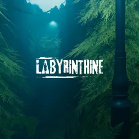 Labyrinthine