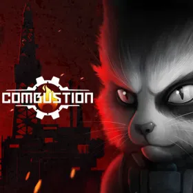 Combustion