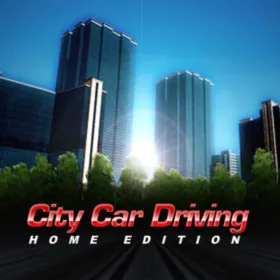 City Car Driving