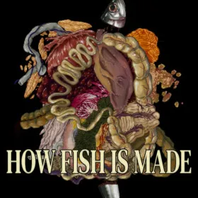How Fish Is Made