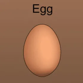 Egg