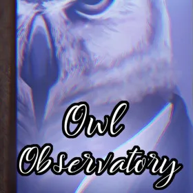 Dinner with an Owl: Owl Observatory