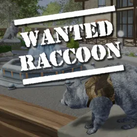 Wanted Raccoon