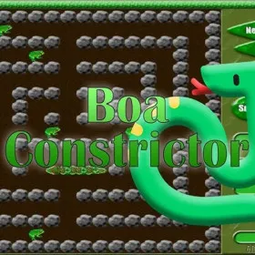 Boa Constrictor
