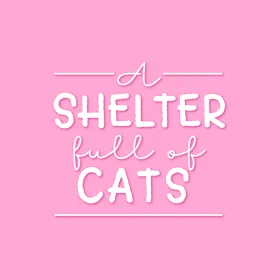 A Shelter Full of Cats