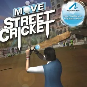 Move Street Cricket