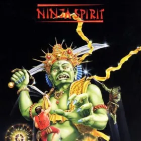 Ninja Spirit