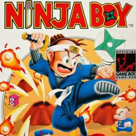 Ninja Boy