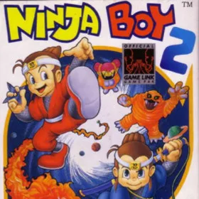 Ninja Boy 2