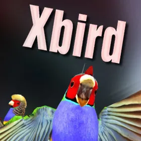 Xbird