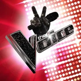 The Voice (2016)