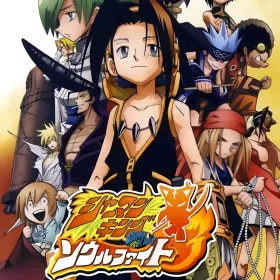 Shaman King: Soul Fight