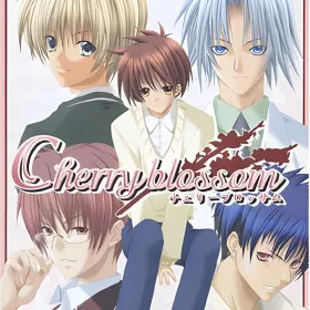 Cherry Blossom