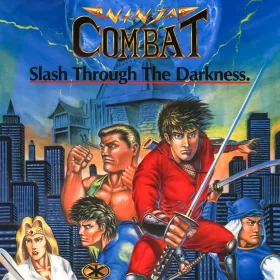 Ninja Combat