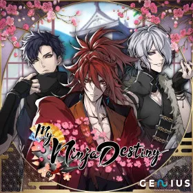 My Ninja Destiny