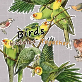 Birds Huddled Together
