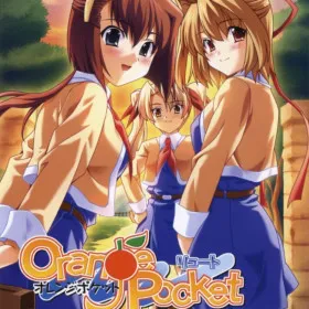 Orange Pocket