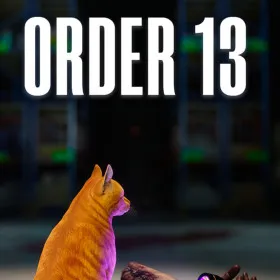 ORDER 13