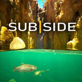Subside