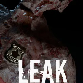 Leak
