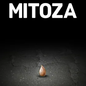 Mitoza