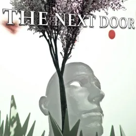 The Next Door