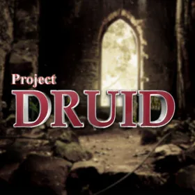 Project Druid - 2D Labyrinth Explorer-