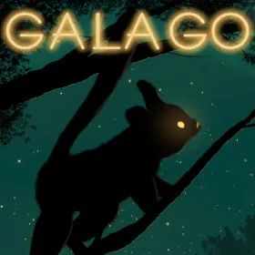 Galago