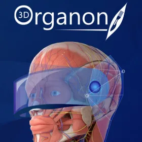 3D Organon XR