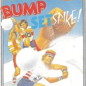 Bump, Set, Spike! Doubles Volleyball