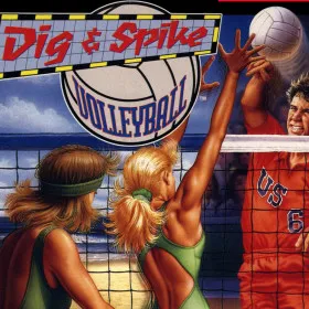 Dig & Spike Volleyball